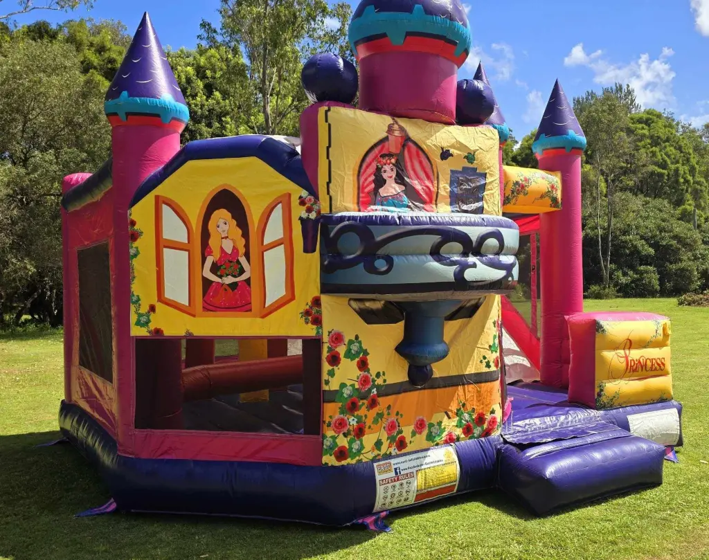A-Leaps Disney princess Jumping Castle set-up in winter