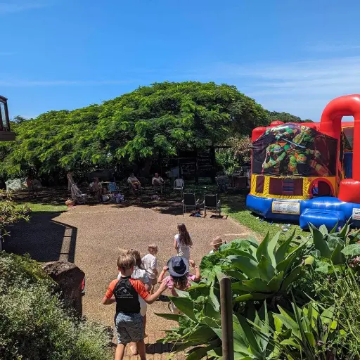 Another jumping castle party that's gone off without a hitch!