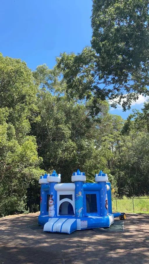 Disney Frozen Princess Bouncer set up for a lovely customer