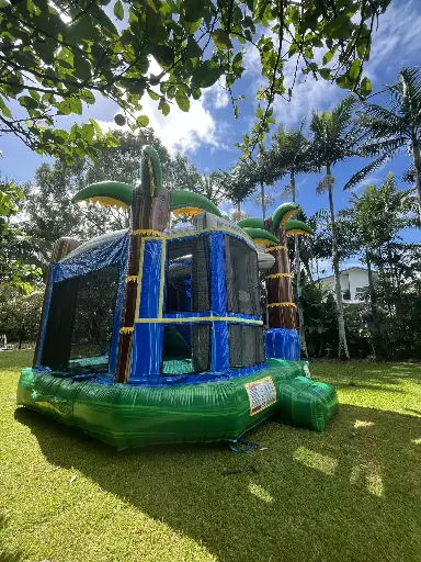 Tropical Paradise (with Slide)